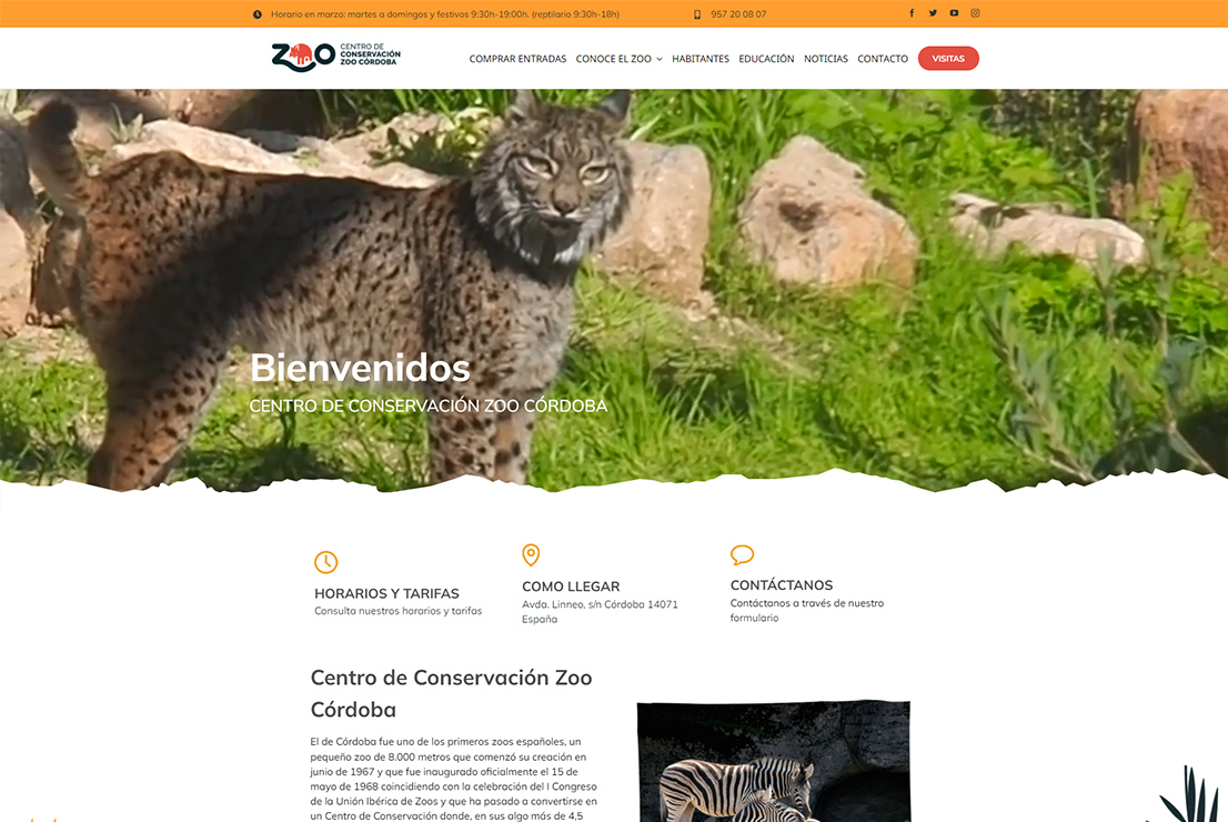 zoo